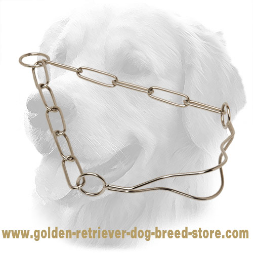 Smooth Chrome Plated Golden Retriever Collar for Dog Shows 