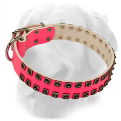 Pink Studded Leather Golden Retriever Collar