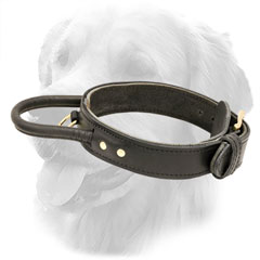 Handmade Leather Golden Retriever Collar with Comfy Handle