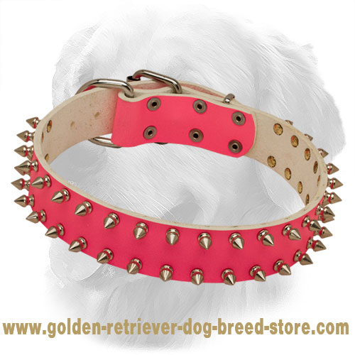 retriever brand dog collars