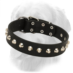 Leather Golden Retriever Collar for Walking in Style