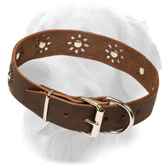 Golden Retriever Collar for Walking in Style