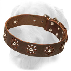 Leather Golden Retriever Collar with Silver-Like Studs