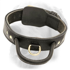 Comfy Leather Golden Retriever Collar with Fur Saving Plate