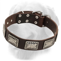Golden Retriever Collar with Old Vintage Plates