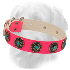 Golden Retriever Collar of Pink Color with Nickel Circles
