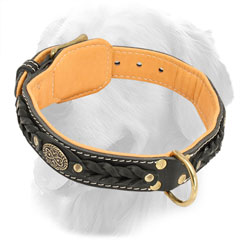 Leather Golden Retriever Collar with Fur Protection Plate