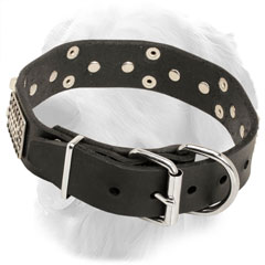 Golden Retriever Collar with Nickel Plated Buckle