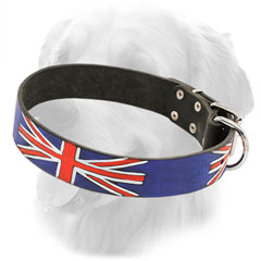 Leather Golden Retriever Collar with Non-toxic Paint