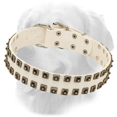 White Studded Leather Golden Retriever Collar
