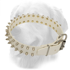 Leather Golden Retriever Collar for Dog Walking
