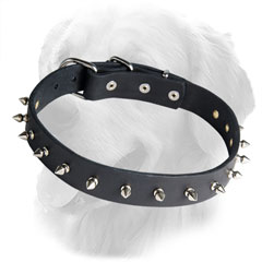 Golden Retriever Dog Leather Collar Steel Nickel Plated Spikes