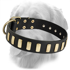Amazing Leather Collar