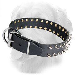 Golden Retriever Dog Leather Collar Nickel Hardware