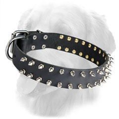 Golden Retriever Dog Leather Collar Steel Nickel Plated Spikes