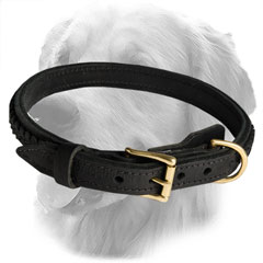 Leather Collar for Stylish Dogs