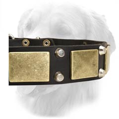 Stylish Leather Collar