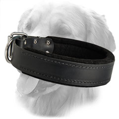 Soft Padding Leather Collar