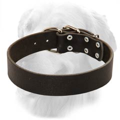 Leather Collar with Solid Brass Fittings
