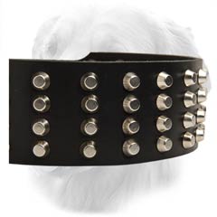 Golden Retriever Royal Design Leather Collar