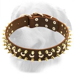 Golden Retriever Leather Collar