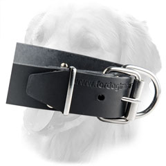 Classic Leather Collar with ID Tag