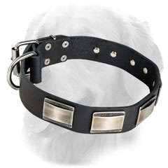 Fashionable Leather Collar