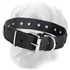 Leather Collar with Rustproof Hardware