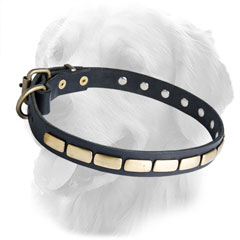 Golden Retriever Leather Dog Collar Steel Old Brass Plated Fittings