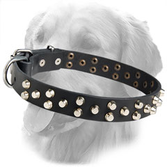 Fashionable Leather Collar