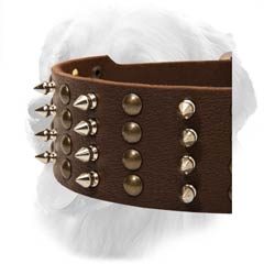 Golden Retriever Decorated Leather Collar