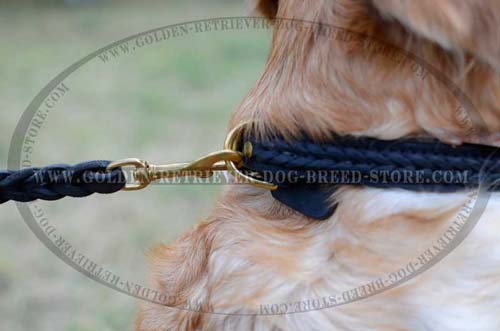 Designer Braided Collar