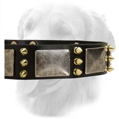 Fashionable Leather Collar