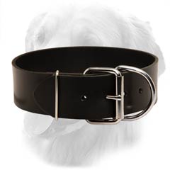 Leather Collar for Active Dogs