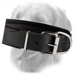 Padded Leather Collar