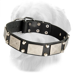 Fashionable Leather Collar