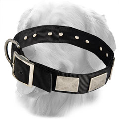 Vintage Nylon Collar