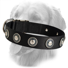 Decorated Nylon Collar