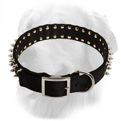 Durable Spiked Nylon Collar