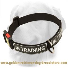 Nylon Golden Retriever Collar With ID Patches