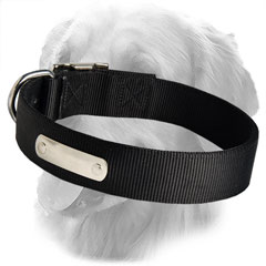 Nylon Collar with ID Tag