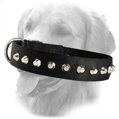 Vintage Nylon Collar