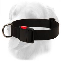 All Weather Nylon Collar