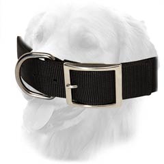 Nylon Collar for Golden Retrievers