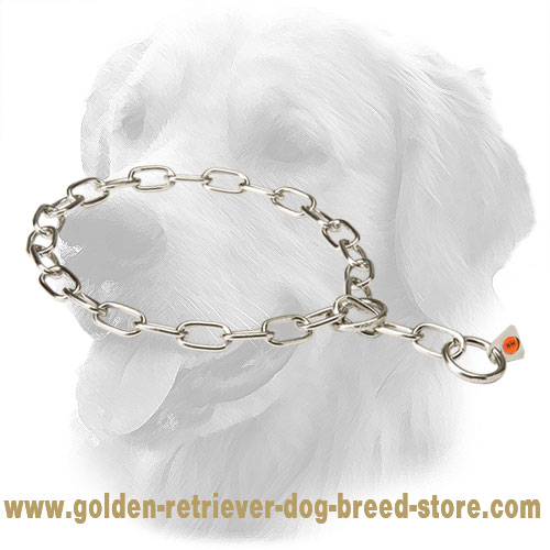 Rust Resistant Stainless Steel Golden Retriever Fur Saver