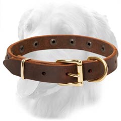 Golden Retriever Leather Collar Special Brass Buckle