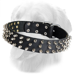 Golden Retriever Leather Collar Spiked