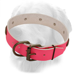 Golden Retriever Leather Collar of Pink Color