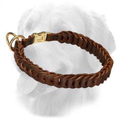 Golden Retriever  Leather Collar Brass Hardware