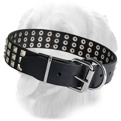 Golden Retriever Leather Collar Studded